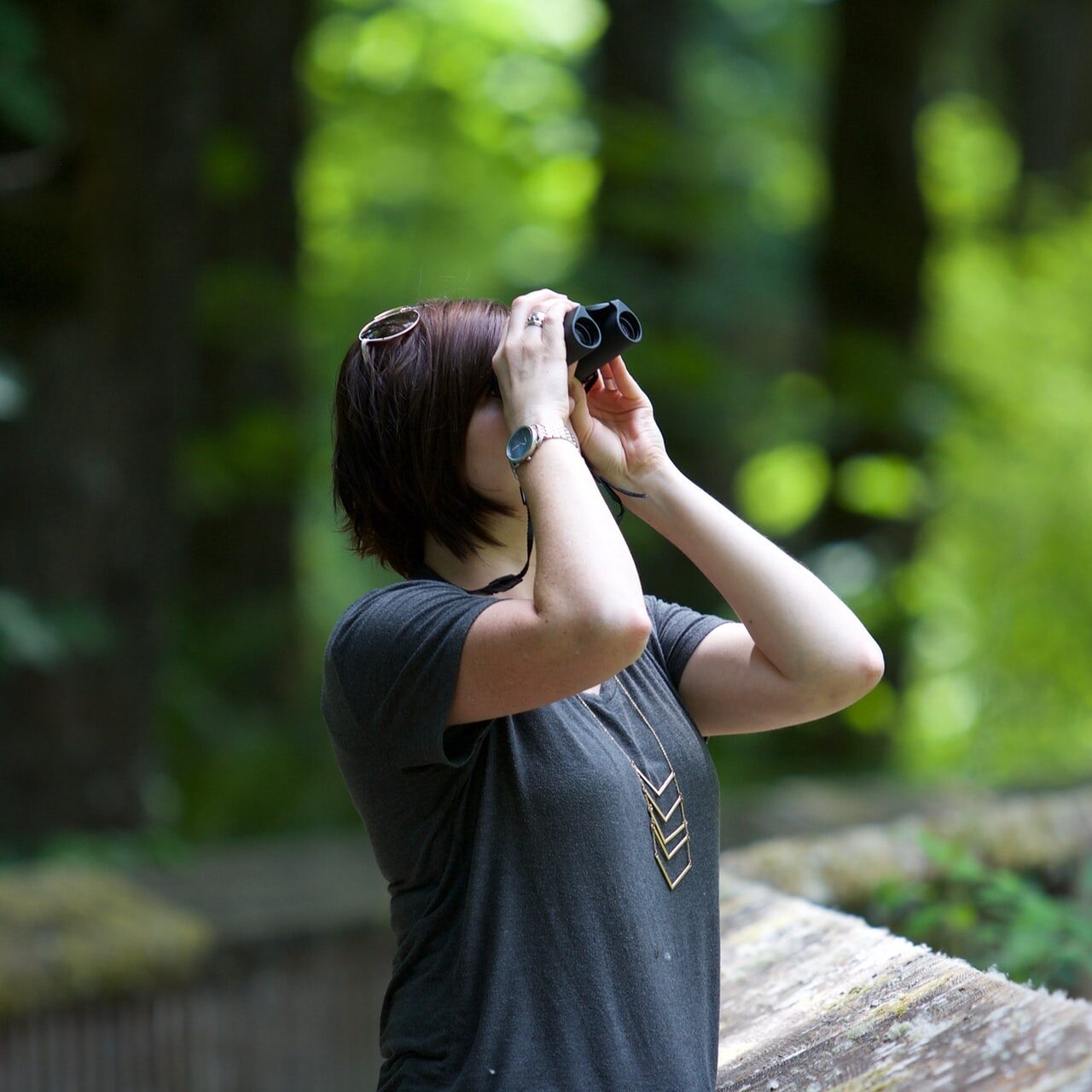 Bird watching in Moldova