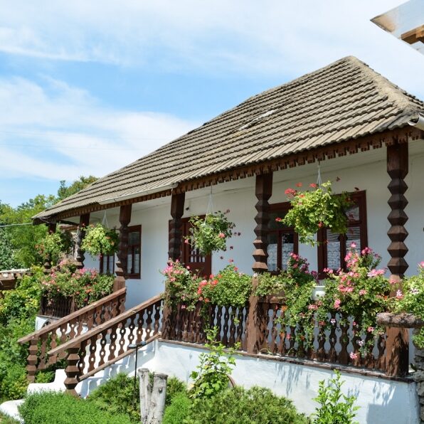 Eco Village Butuceni rural guest house in Moldova
