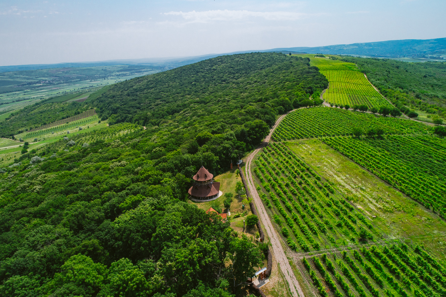 Trasee de drumeție în apropierea vinăriilor mici din Moldova