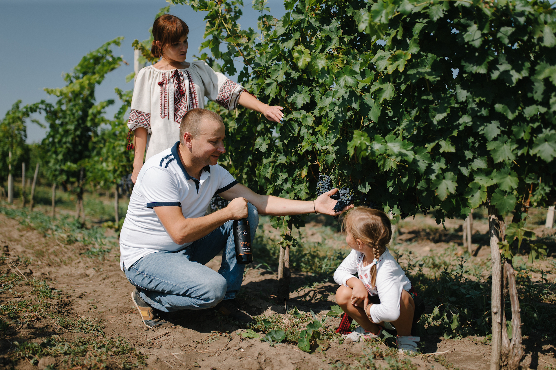 Wine tasting holidays at Gogu Winery