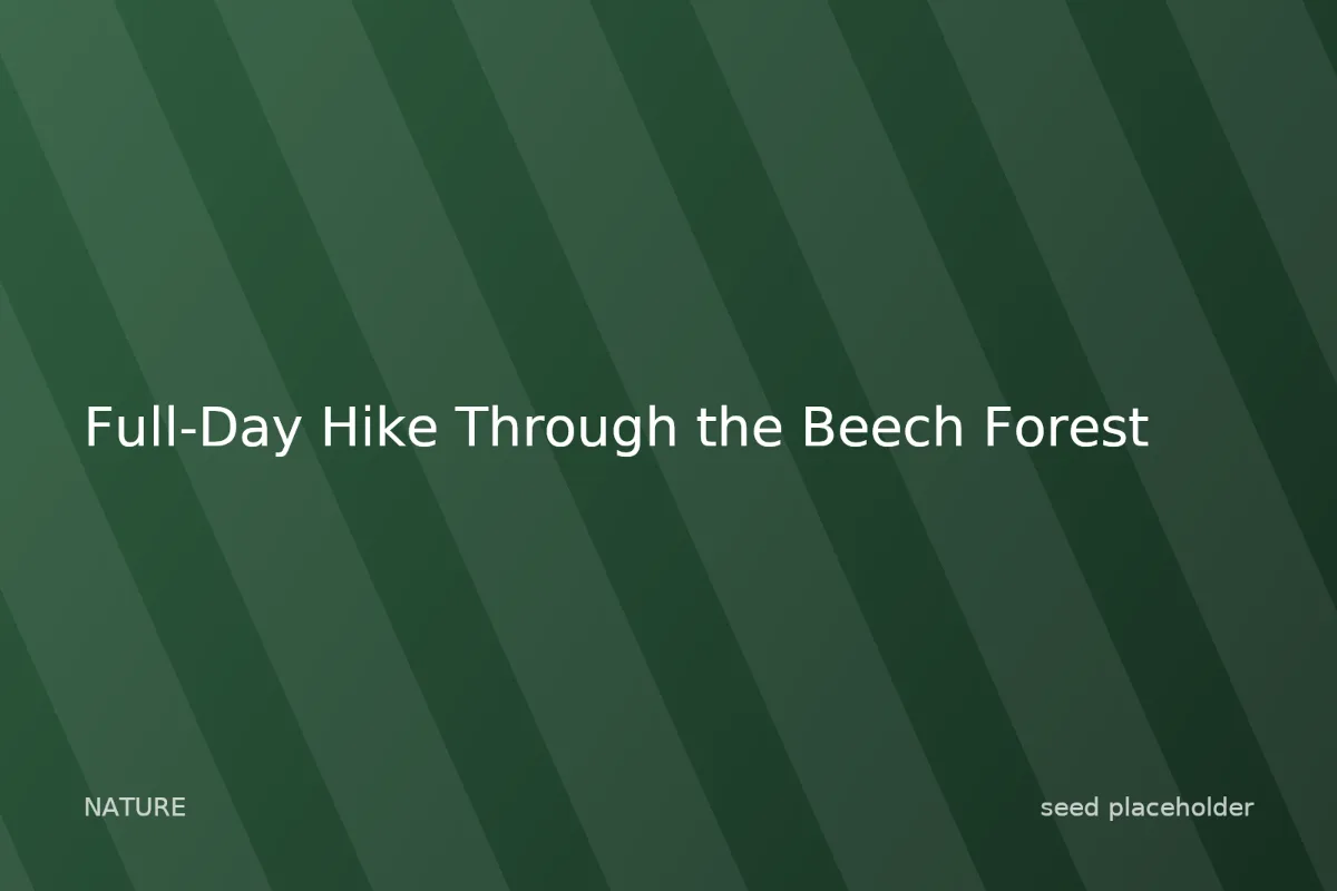 Photo of Full-Day Hike Through the Beech Forest